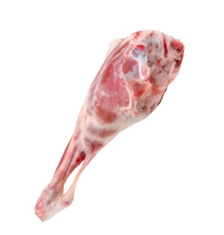 Single raw, whole Lamb Leg on a white background.